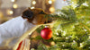 12 Tips for Holly Jolly SafetyPUP Holiday