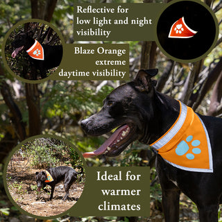 SafetyPUP XD® Orange Dog Bandana