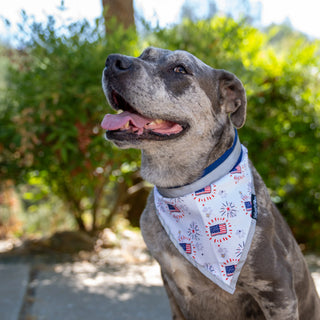American Reflective Bandana 2-Pack – Limited Edition