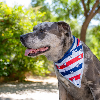 American Reflective Bandana 2-Pack – Limited Edition