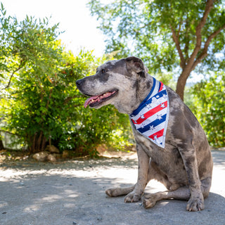 American Reflective Bandana 2-Pack – Limited Edition