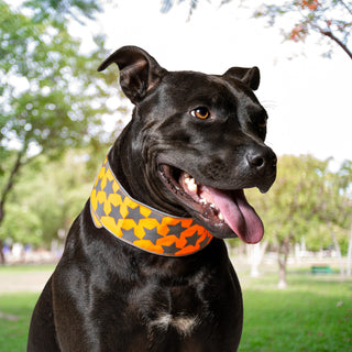 SafetyPUP XD® Reflective Dog Collar