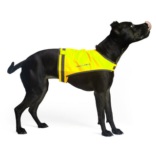 Hi Visibility Reflective Dog Vest LITE