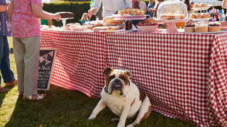 bull dog sitting under table of food at backyard bbq