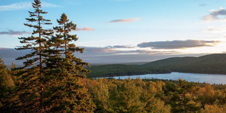 acadia north east trail hike with dog
