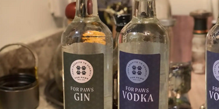 booze for paws