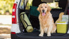 Dog Safety Tips for Holiday Trip
