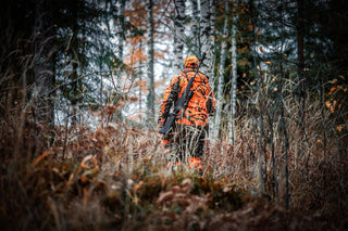 Hunting Season Dog Safety: Keep Your Dog Seen and Safe