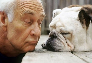 Why Every Senior Should Have a Dog