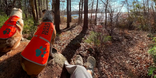 Embrace the Trail: The People, Purpose & Pack of Tails N’ Trails Pet Services