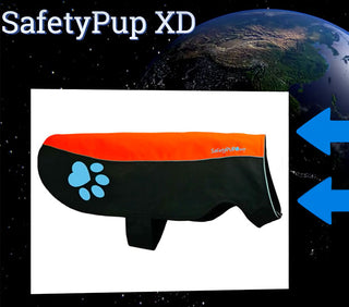 SafetyPUP XD Dog Coat Receives Top Ten Ranking for World’s Best Dog Rain Coats in 2017