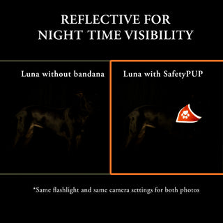 SafetyPUP XD® Orange Dog Bandana