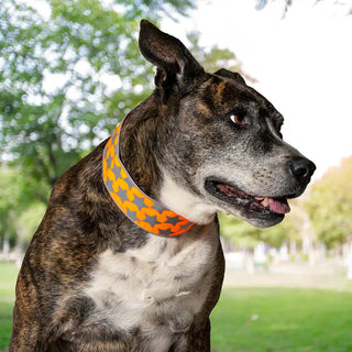 Brindle coat senior rescue dog Brooklyn in a park wearing SafetyPUP XD high visibility collar