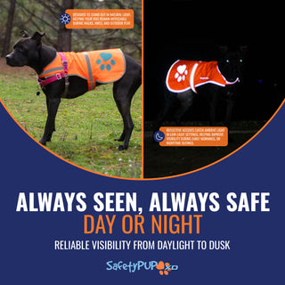 SafetyPUP XD® Reflective Dog Vest