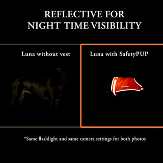 Hi Visibility Reflective Dog Vest LITE