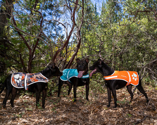 SafetyPUP XD® Urban Reflective Dog Vest