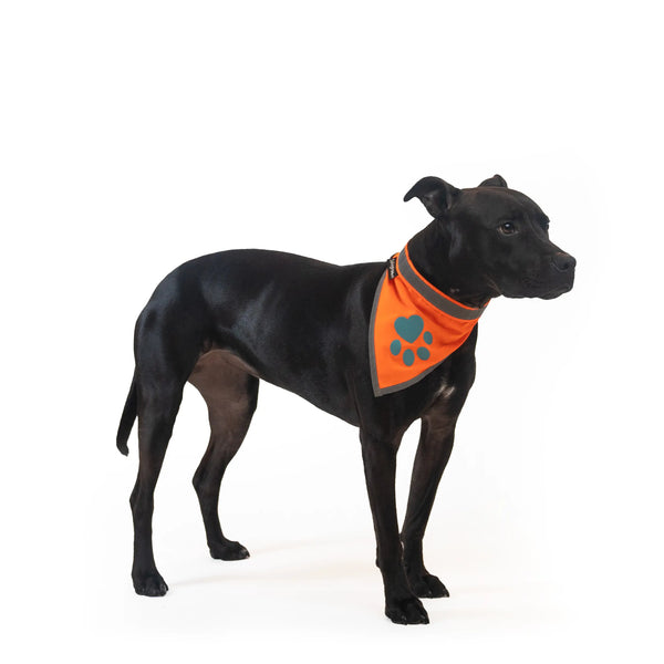 SafetyPUP XD® Orange Dog Bandana – SafetyPUP XD - Superior