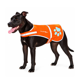 A black dog wearing an orange dog life jacket with reflective trim and a light blue paw print logo, standing against a white background.