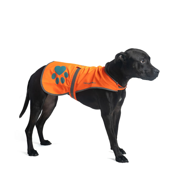 Orange reflective online dog vest