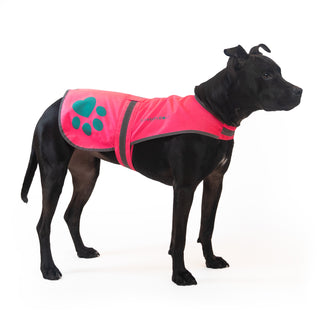 SafetyPUP XD® Urban Reflective Dog Vest