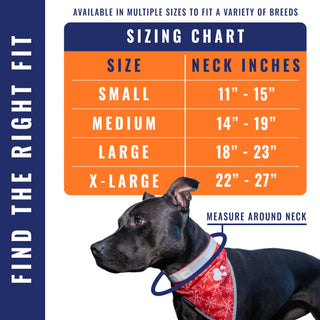 Dog wearing a harness with a sizing chart for neck measurements on a white background