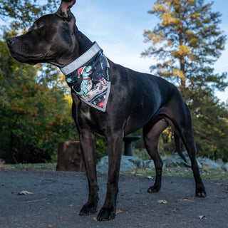 Black dog wearing a bandana with a ugly christmas sweater dino graphic design outdoors
