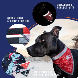 Dog wearing a red and white bandana with festive prints, surrounded by product details on a blue background.