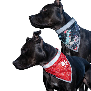 Two dogs wearing festive bandanas on a white background