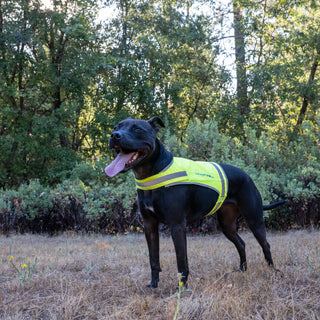 Hi Visibility Reflective Dog Vest LITE