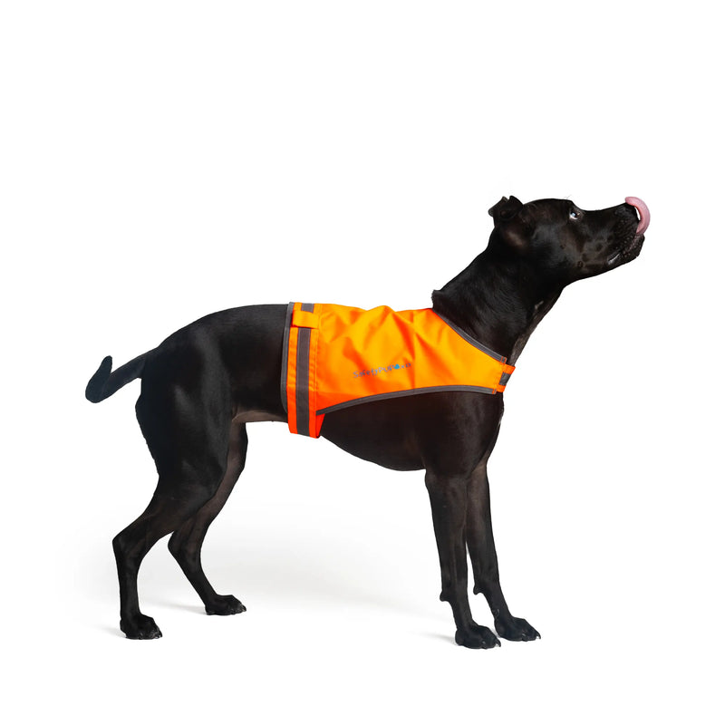 Orange dog vest deals