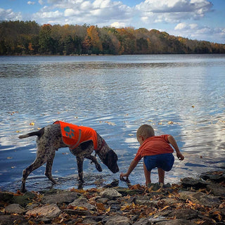 SafetyPUP XD® Reflective Dog Vest