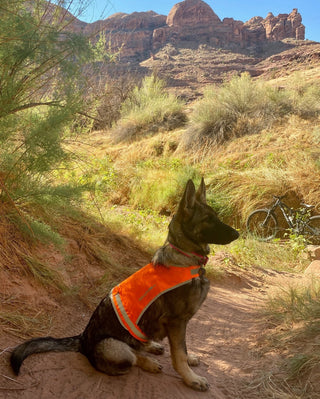 Hi Visibility Reflective Dog Vest LITE