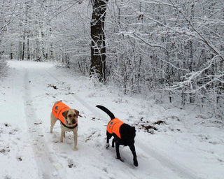 SafetyPUP XD® Reflective Dog Vest