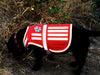 SafetyPUP XD® Paws & Stripes Reflective Dog Vest
