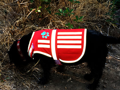 SafetyPUP XD® Paws & Stripes Reflective Dog Vest