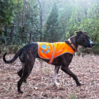SafetyPUP XD Blaze Orange Reflective Dog Vest comfortable fit for dogs all sizes