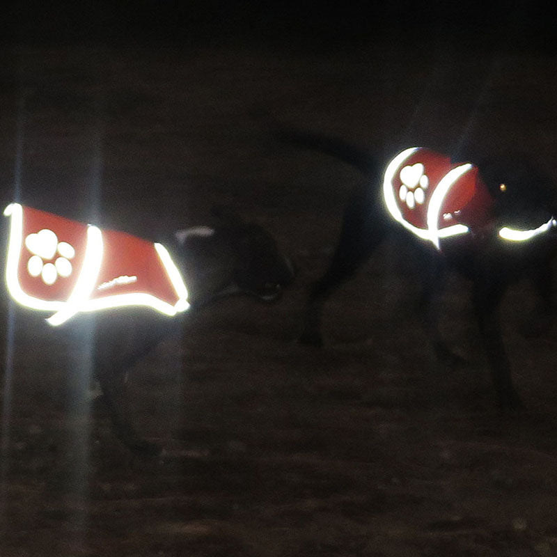 SafetyPUP XD Blaze Orange Reflective Dog Vest night vision to see your dog