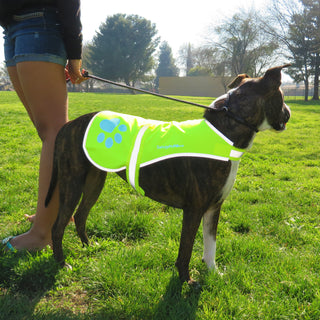 SafetyPUP XD® Urban Reflective Dog Vest